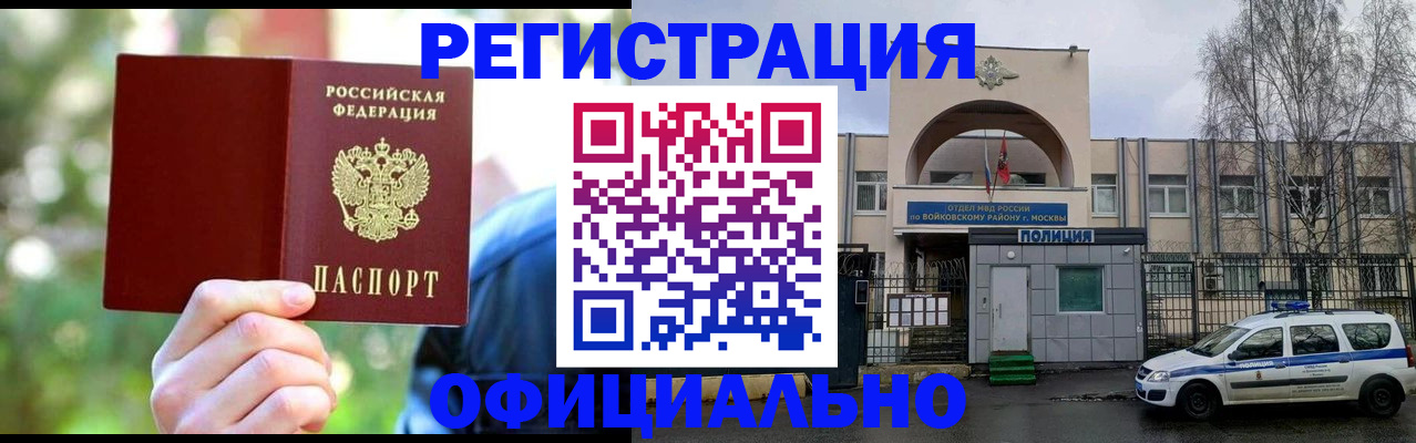 прописка гарантия в Светлогорске